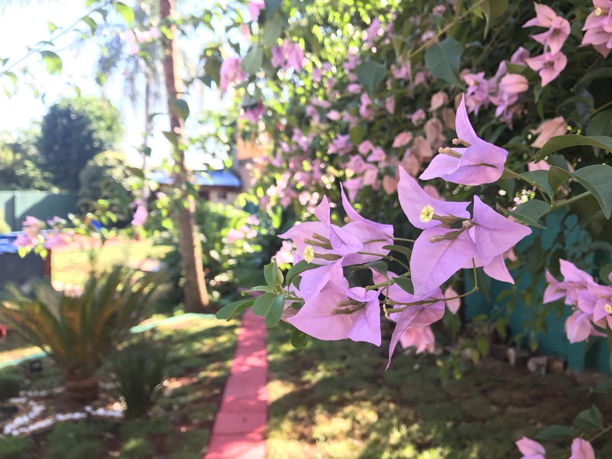 Hotel Amayal Puerto Iguazu Bagian luar foto